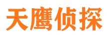 铁山港侦探公司